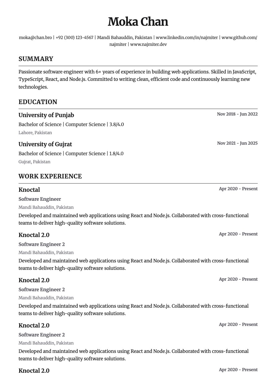 Classic Professional resume template