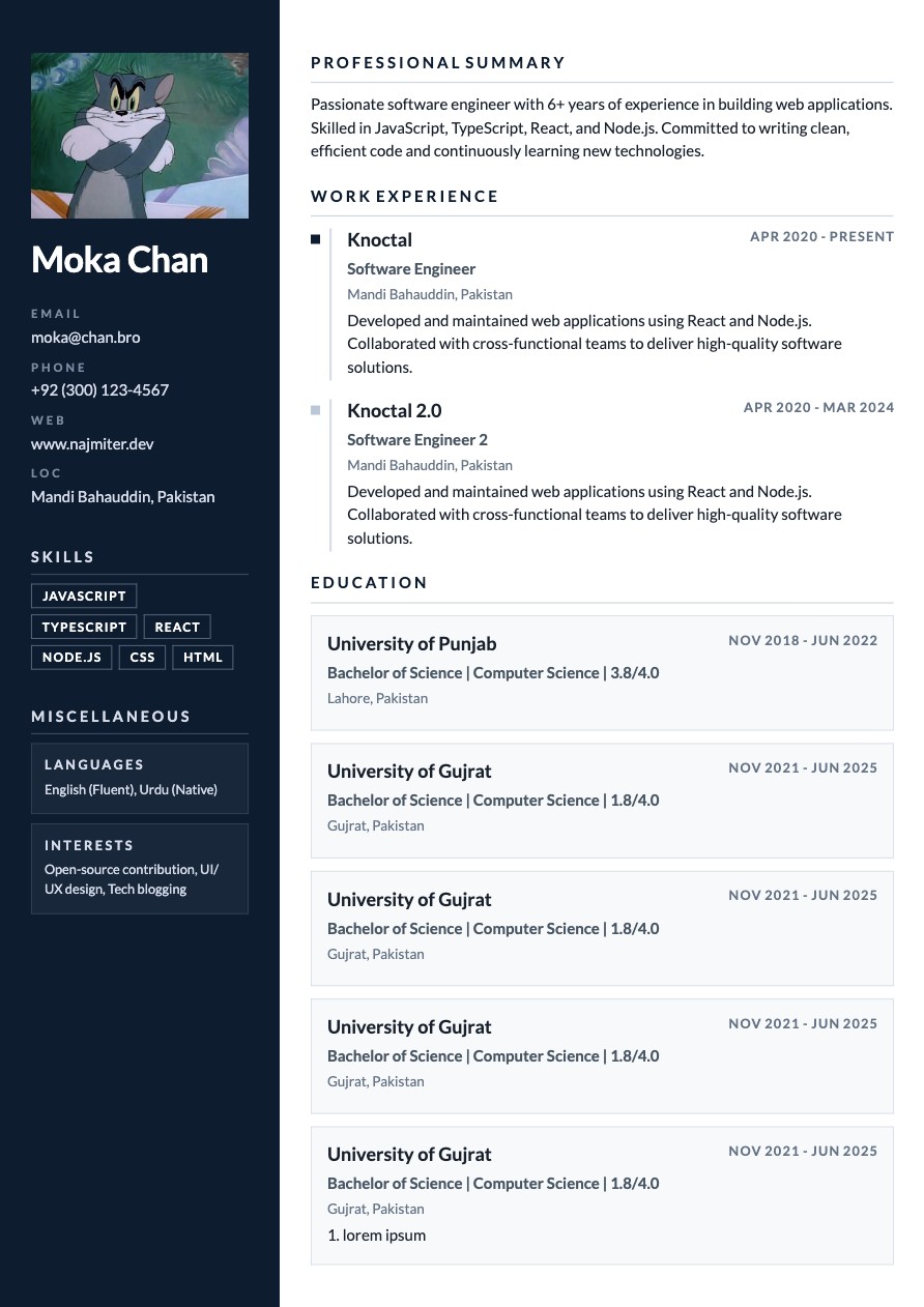 Navy Executive resume template